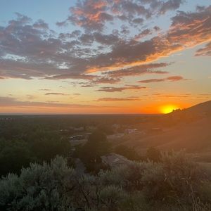 Meet your Posher, Jaden